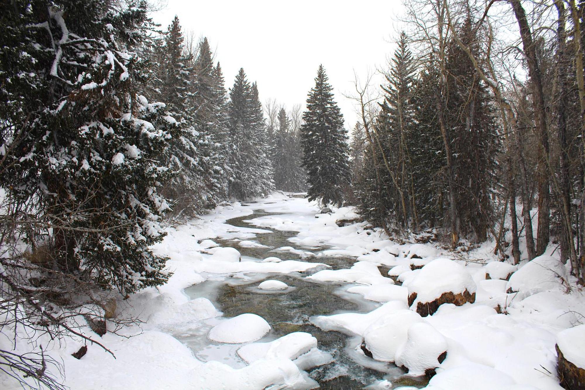 Rock Creek Resort Red Lodge Exteriér fotografie
